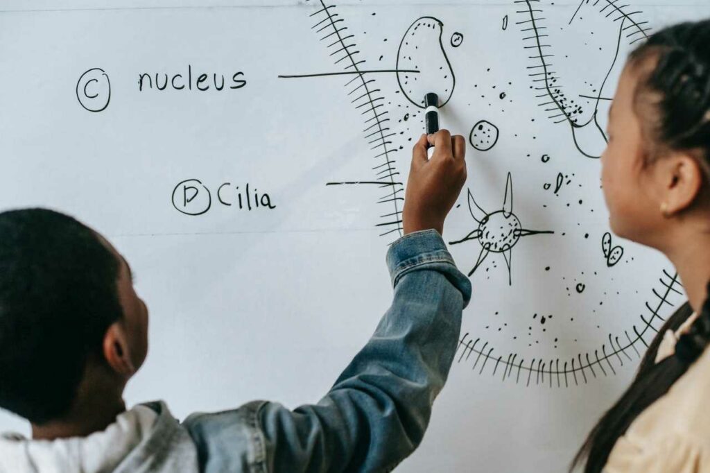 bijles biologie